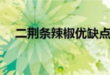 二荊條辣椒優(yōu)缺點(diǎn)（二荊條辣椒的特點(diǎn)）