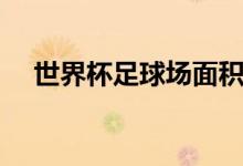 世界杯足球場(chǎng)面積（世界杯足球場(chǎng)面積）