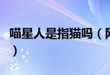 喵星人是指貓嗎（網(wǎng)絡(luò)語(yǔ)言喵星人指的是什么）