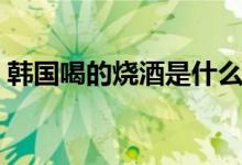 韓國(guó)喝的燒酒是什么（韓國(guó)燒酒有什么特點(diǎn)）