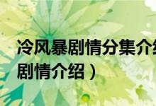 冷風(fēng)暴劇情分集介紹（電視劇冷風(fēng)暴1-5集的劇情介紹）