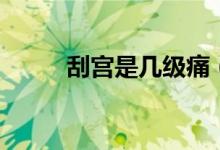 刮宮是幾級痛（刮宮是幾級疼痛）
