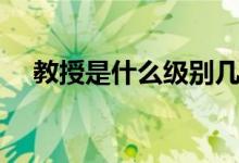 教授是什么級(jí)別幾品（教授是什么級(jí)別）