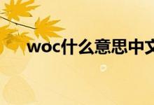woc什么意思中文(woc什么意思 包)