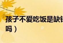 孩子不愛吃飯是缺鋅嗎（孩子不愛吃飯是缺鋅嗎）