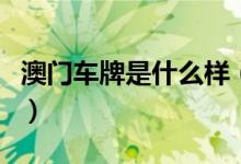 澳門車牌是什么樣（澳門車牌是什么樣子圖片）