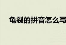 龜裂的拼音怎么寫（龜裂的拼音怎么寫）
