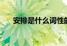 安排是什么詞性的詞（安排是什么梗）