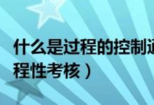 什么是過程的控制通道和擾動通道（什么是過程性考核）