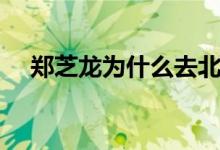 鄭芝龍為什么去北京（鄭芝龍為何被殺）