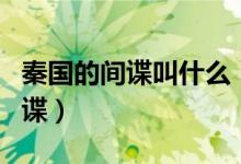 秦國(guó)的間諜叫什么（蘇秦到底是哪個(gè)國(guó)家的間諜）