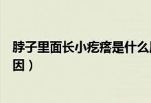 脖子里面長小疙瘩是什么原因（脖子里面長小疙瘩是什么原因）