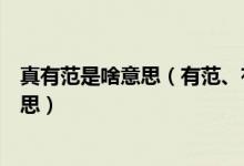 真有范是啥意思（有范、有范兒、很有范、好有范是什么意思）