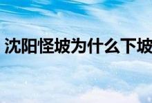 沈陽怪坡為什么下坡難（沈陽怪坡為什么怪）