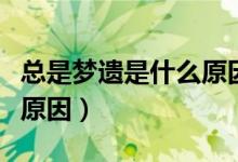 總是夢(mèng)遺是什么原因造成的（總是夢(mèng)遺是什么原因）