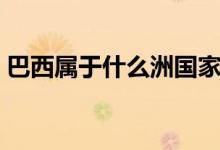 巴西屬于什么洲國家（巴西屬于什么洲國家）