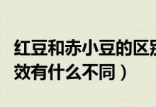 紅豆和赤小豆的區(qū)別與功效(赤豆與紅小豆功效有什么不同)