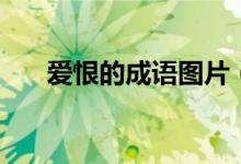 愛恨的成語圖片（愛恨的成語有哪些）