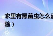家里有黑菌蟲(chóng)怎么消滅（家里有黑菌蟲(chóng)怎么清除）