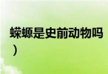 蠑螈是史前動物嗎（史前霸王蠑螈是什么動物）