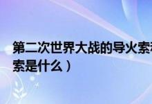 第二次世界大戰(zhàn)的導火索和轉(zhuǎn)折點（第二次世界大戰(zhàn)的導火索是什么）