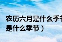 農(nóng)歷六月是什么季節(jié)人們要干什么（農(nóng)歷六月是什么季節(jié)）