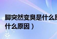 腳突然變臭是什么原因引起的（腳突然變臭是什么原因）