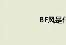 BF風(fēng)是什么風(fēng)格不懂