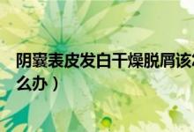 陰囊表皮發(fā)白干燥脫屑該怎么治（陰莖上有白色干燥脫皮怎么辦）