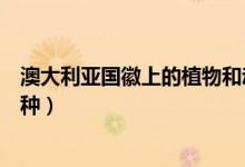 澳大利亞國徽上的植物和動物（澳大利亞國徽上的植物哪四種）