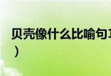 貝殼像什么比喻句100字（貝殼像什么小動(dòng)物）