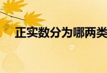 正實(shí)數(shù)分為哪兩類(lèi)（正實(shí)數(shù)分為哪兩類(lèi)）