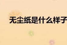 無塵紙是什么樣子（無塵紙是什么做的）