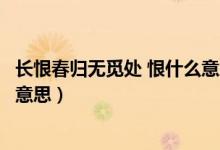 長恨春歸無覓處 恨什么意思（長恨春歸無覓處的春歸是什么意思）