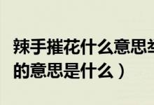 辣手摧花什么意思舉個(gè)例子（辣手摧花花滿地的意思是什么）