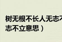 樹無根不長人無志不立全文（樹無根不長人無志不立意思）