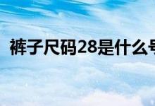 褲子尺碼28是什么號（褲子尺碼28是多大）