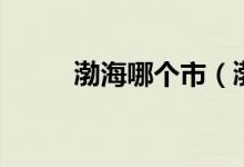 渤海哪個(gè)市（渤海省有哪些城市）