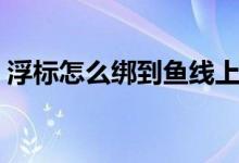 浮標怎么綁到魚線上（浮標怎么綁到魚線上）