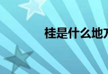 桂是什么地方(桂是哪里車)