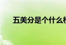 五美分是個什么梗（五美分是什么梗）