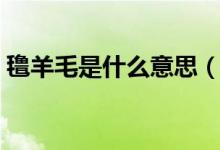 氌羊毛是什么意思（薅羊毛到底是什么意思）