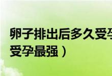 卵子排出后多久受孕功能最強(qiáng)（卵子排出多久受孕最強(qiáng)）