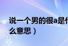 說一個男的很a是什么意思（好a一男的是什么意思）