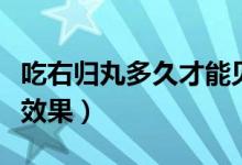吃右歸丸多久才能見效呢（吃右歸丸多久才有效果）