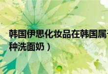 韓國(guó)伊思化妝品在韓國(guó)屬于什么檔次（韓國(guó)伊思化妝品有幾種洗面奶）