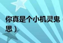 你真是個(gè)小機(jī)靈鬼（你真是個(gè)小機(jī)靈鬼什么意思）
