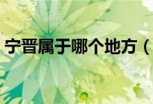寧晉屬于哪個地方（寧晉是哪個地方的城市）
