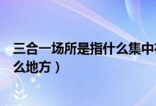 三合一場所是指什么集中在一起的場所（三合一場所是指什么地方）