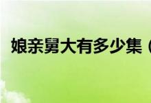 娘親舅大有多少集（娘親舅大70集大結(jié)局）